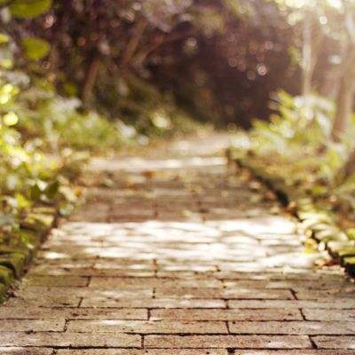 棋牌游戏下载手机版